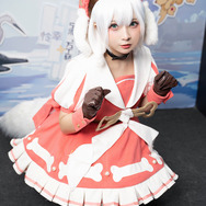 『国宝拾遺』小十一／公式カメラマン