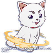 『ぷよクエ』×「銀魂」コラボ開催中！銀さん、新八、神楽が暴れ回る豪華ストーリーは“過去最大級”！限定コラボキャラも多数登場