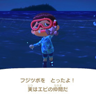 貝じゃない！味はカニ！『あつまれ どうぶつの森』の海の幸「フジツボ」って何者？【平坂寛の『あつ森』博物誌】