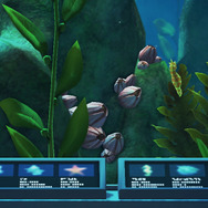 貝じゃない！味はカニ！『あつまれ どうぶつの森』の海の幸「フジツボ」って何者？【平坂寛の『あつ森』博物誌】