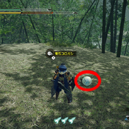 『モンハンライズ』過酷なフィールドで生き抜く環境生物に夢中！何気ない草木の影や足元には、まだ知らない世界が眠っている