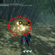 『モンハンライズ』過酷なフィールドで生き抜く環境生物に夢中！何気ない草木の影や足元には、まだ知らない世界が眠っている