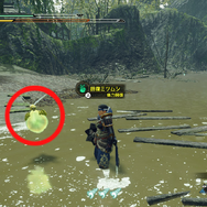 『モンハンライズ』過酷なフィールドで生き抜く環境生物に夢中！何気ない草木の影や足元には、まだ知らない世界が眠っている