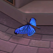 驚異のメタリックブルー！『あつまれ どうぶつの森』に登場する「モルフォチョウ」の秘密【平坂寛の『あつ森』博物誌】