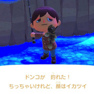 いつでもどこでも釣れるけど…『あつまれ どうぶつの森』の「ドンコ」ってどんな魚？【平坂寛の『あつ森』博物誌】