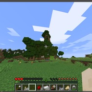 『マインクラフト』に出現するSCPみたいなヒトの話―知らぬ間にサーバーに参加し、時間をかけて「エルフの森」を作り…最後は焼き尽くし狂気を蔓延させる