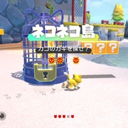 スーパーマリオ 3Dワールド ＋ フューリーワールド』の