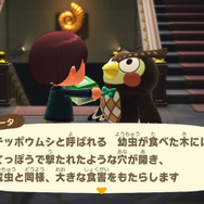 害虫だけどおいしい！？『あつまれ どうぶつの森』に登場する「ゴマダラカミキリ」ってどんな虫？【平坂寛の『あつ森』博物誌】