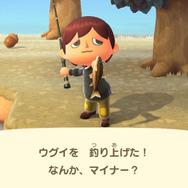 地味になったり派手になったり…『あつまれ どうぶつの森』で釣れる「ウグイ」ってどんな魚？【平坂寛の『あつ森』博物誌】