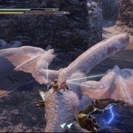 『モンハンライズ』で復活のフルフル＆新モンスター・ビシュテンゴに挑む！カムラの里も練り歩いてみました