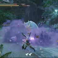 『モンハンライズ』で復活のフルフル＆新モンスター・ビシュテンゴに挑む！カムラの里も練り歩いてみました