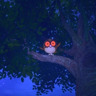 『New ポケモンスナップ』遊び方をこれ1本で確認できる最新映像公開！アイテムを使った撮影やオンラインでの写真共有を楽しもう