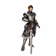 Wii『ヴァルハラナイツ エルダールサーガ』、玉置成実イメージソング入りPVを公開！