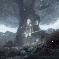 【限定版】ニーアレプリカントWhite Snow Edition(ディスクなし) Amazon.co.jp: e-store限定 ニーア レプリカント ver