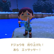 食べてよし、薬効もあり！？『あつまれ どうぶつの森』で釣れる「ドジョウ」について【平坂寛の『あつ森』博物誌】