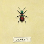 「ミチオシエ」の導く先は!?『あつまれ どうぶつの森』に登場する「ハンミョウ」ってどんな虫?【平坂寛の『あつ森』博物誌】