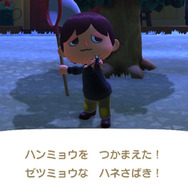 「ミチオシエ」の導く先は!?『あつまれ どうぶつの森』に登場する「ハンミョウ」ってどんな虫?【平坂寛の『あつ森』博物誌】