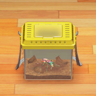 「ミチオシエ」の導く先は!?『あつまれ どうぶつの森』に登場する「ハンミョウ」ってどんな虫?【平坂寛の『あつ森』博物誌】