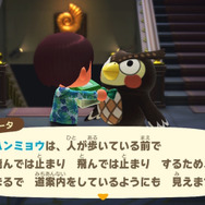 「ミチオシエ」の導く先は!?『あつまれ どうぶつの森』に登場する「ハンミョウ」ってどんな虫?【平坂寛の『あつ森』博物誌】