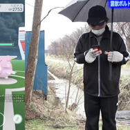 新技を覚えたボルトロス（れいじゅうフォルム）MAX強化でジム戦徹底検証！ゼクロムとどっちが強い？【ポケモンGO 秋田局】