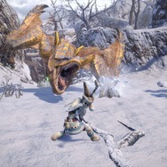 『モンハンライズ』脱・キャンプ送りを目指す！ 戦い方の心得やコツなど“初心者がモンスターに打ち勝つ”3つの切り口