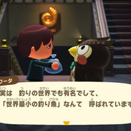 日本が世界に誇る美魚!『あつまれ どうぶつの森』で釣れる「タナゴ」ってどんな魚?【平坂寛の『あつ森』博物誌】