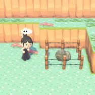 『あつまれ どうぶつの森』で『ポケモン』を完全再現した島が話題に！随所に散りばめられた“冒険の思い出”が懐かしい