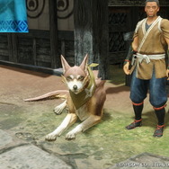 『モンハンライズ』の新たな相棒「オトモガルク」でモフモフ狩猟生活!2匹連れていけば犬好きもニッコリな天国に【フォトレポ】