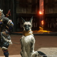 『モンハンライズ』の新たな相棒「オトモガルク」でモフモフ狩猟生活!2匹連れていけば犬好きもニッコリな天国に【フォトレポ】
