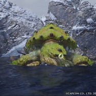 『モンスターハンターライズ』図鑑映えする「モンスタースナップ」にこだわろう!筋肉の伸び縮みが限界に達した瞬間がシャッターチャンス