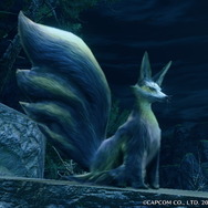 『モンハンライズ』各フィールドに1匹だけ！超珍しい「希少生物」をもう見つけた？