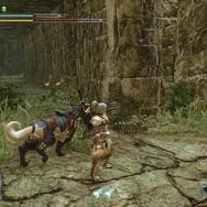 『モンハンライズ』各フィールドに1匹だけ！超珍しい「希少生物」をもう見つけた？