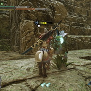 『モンハンライズ』各フィールドに1匹だけ！超珍しい「希少生物」をもう見つけた？