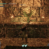 『モンハンライズ』各フィールドに1匹だけ！超珍しい「希少生物」をもう見つけた？