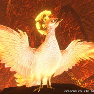 『モンハンライズ』各フィールドに1匹だけ！超珍しい「希少生物」をもう見つけた？