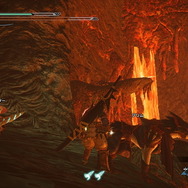 『モンハンライズ』各フィールドに1匹だけ！超珍しい「希少生物」をもう見つけた？