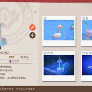 『New ポケモンスナップ』特別な「イルミナポケモン」に出会えるかも？より詳しい遊びかたを紹介する新映像公開！