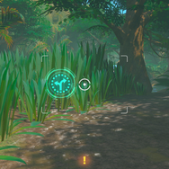 『New ポケモンスナップ』特別な「イルミナポケモン」に出会えるかも？より詳しい遊びかたを紹介する新映像公開！