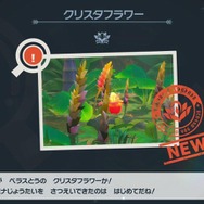 『New ポケモンスナップ』新ルート・レンティル海床で海中探検！あの頃感じた“発見の喜びと癒し”が令和の今、蘇る