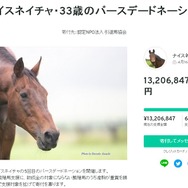 元競走馬「ナイスネイチャ」の誕生日記念寄付、わずか24時間で1,300万円超え! ―『ウマ娘』人気も後押しか