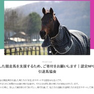 元競走馬「ナイスネイチャ」の誕生日記念寄付、わずか24時間で1,300万円超え! ―『ウマ娘』人気も後押しか