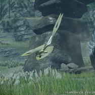 『モンハンライズ』の“環境生物”を、設定画・ラフ画と比較！ 再現度が高く、意外なラフ画に驚きも─「コウモリ骨」のエンエンクってなに!?