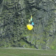 『モンハンライズ』の“環境生物”を、設定画・ラフ画と比較！ 再現度が高く、意外なラフ画に驚きも─「コウモリ骨」のエンエンクってなに!?