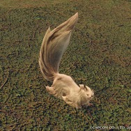 『モンハンライズ』の“環境生物”を、設定画・ラフ画と比較！ 再現度が高く、意外なラフ画に驚きも─「コウモリ骨」のエンエンクってなに!?