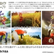 『天穂のサクナヒメ』の稲作を学生が実際に体験してレポートする「天穂のサクナヒメ × 学生稲作プロジェクト」2021年5月より開始