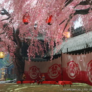 『モンハンライズ』で楽しむカムラ観光！里やフィールドを旅レポ風に巡る―連休はのんびり“うさ団子”でも食べよう【GW特集】