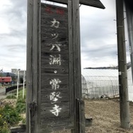 『モンハンライズ』ヨツミワドウの