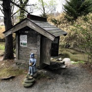 『モンハンライズ』ヨツミワドウの