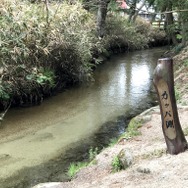 『モンハンライズ』ヨツミワドウの