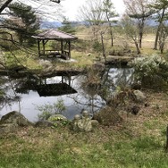 『モンハンライズ』ヨツミワドウの